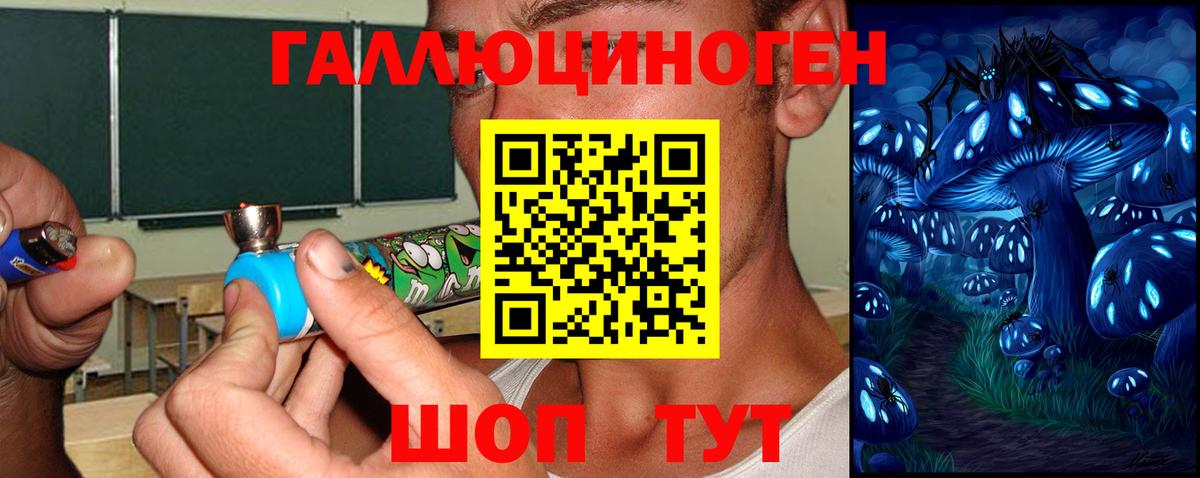 Белгород  Галлюциногенные грибы Cubensis  Вход с VPN 