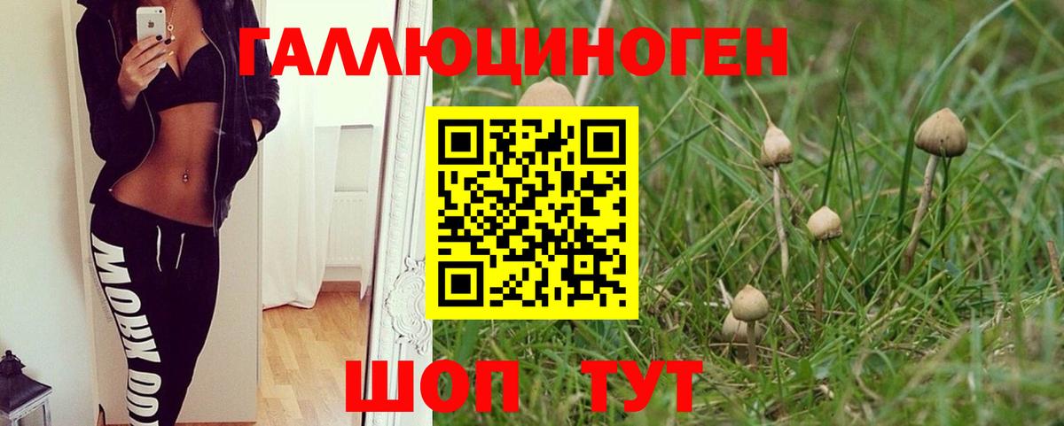 Псилоцибиновые грибы мицелий Белгород